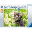 RAVENSBURGER 17378 5 CATS PHOTO 500 PIECE PUZZLE Online Hot Sale