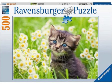 RAVENSBURGER 17378 5 CATS PHOTO 500 PIECE PUZZLE Online Hot Sale