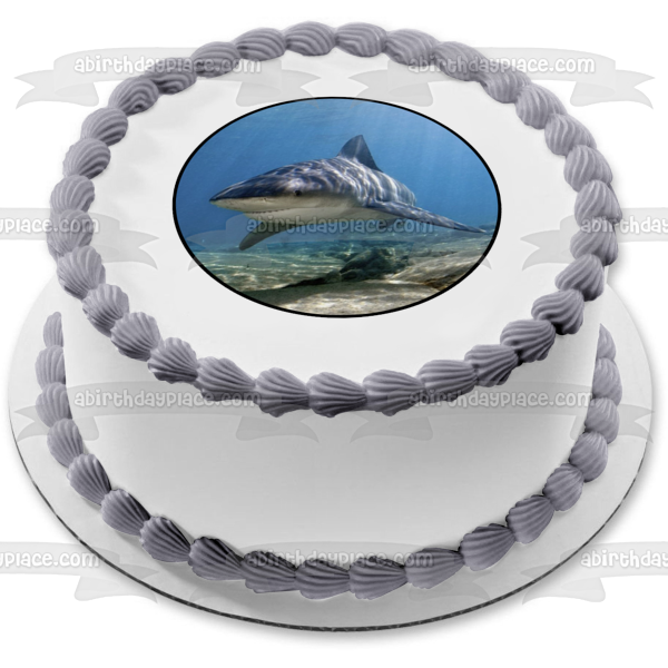 Ocean Life Shark Underwater Rocks Edible Cake Topper Image ABPID27737 Cheap