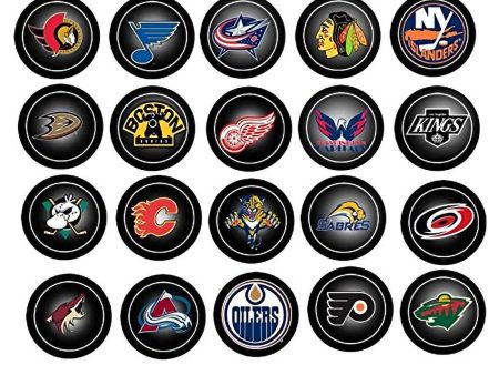 NHL National Hockey League Logos New York Islanders Boston Bruins Anaheim Ducks Chicago Blackhawks Edible Cupcake Topper Images ABPID27620 Online