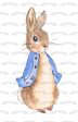 Peter Rabbit Edible Cake Topper Image ABPID27773 Online Sale