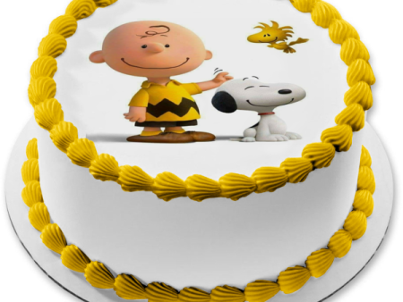 Peanuts Charlie Brown Snoopy Woodstock Edible Cake Topper Image ABPID27517 Online now