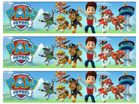 Paw Patrol Chase Everest Skye Zuma Marshall Rocky Ryder Running Mountains Edible Cake Topper Image Strips ABPID27267 Online Sale