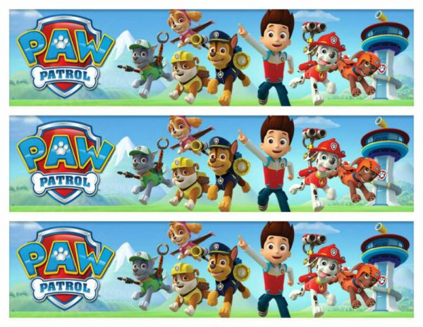 Paw Patrol Chase Everest Skye Zuma Marshall Rocky Ryder Running Mountains Edible Cake Topper Image Strips ABPID27267 Online Sale