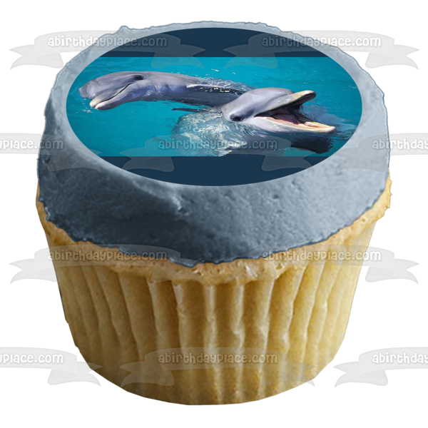 Ocean Life Dolphins Swimming and Playing Water Background Edible Cake Topper Image ABPID27539 Hot on Sale