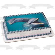 Ocean Life Dolphins Swimming and Playing Water Background Edible Cake Topper Image ABPID27539 Hot on Sale