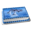 Ocean Life Dolphins Jumping Ocean Edible Cake Topper Image ABPID27405 For Cheap