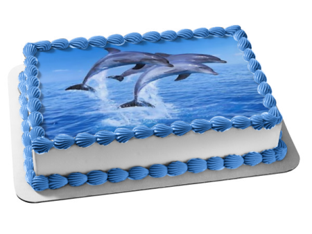 Ocean Life Dolphins Jumping Ocean Edible Cake Topper Image ABPID27405 For Cheap