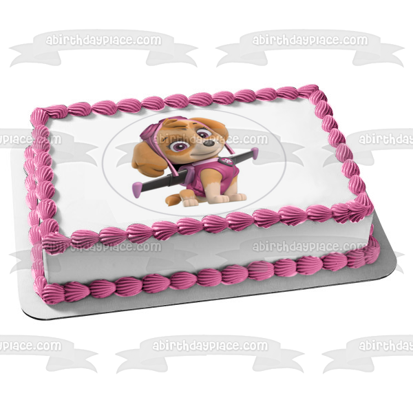 Paw Patrol Skye Pup Pack Wings Edible Cake Topper Image ABPID27513 Online now