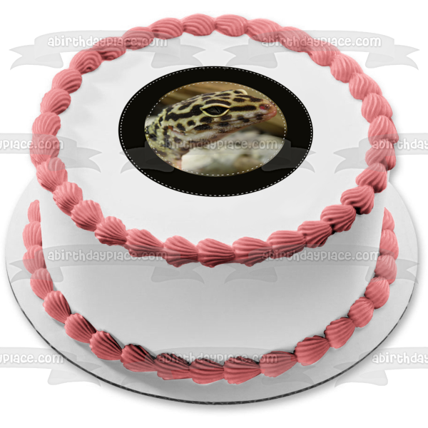 Spotted Gecko Black Circular Edge Edible Cake Topper Image ABPID27262 on Sale