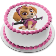 Paw Patrol Skye Pup Pack Wings Edible Cake Topper Image ABPID27513 Online now