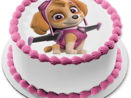 Paw Patrol Skye Pup Pack Wings Edible Cake Topper Image ABPID27513 Online now