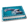 Ocean Life Dolphins Swimming and Playing Water Background Edible Cake Topper Image ABPID27539 Hot on Sale