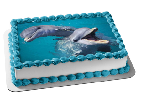 Ocean Life Dolphins Swimming and Playing Water Background Edible Cake Topper Image ABPID27539 Hot on Sale