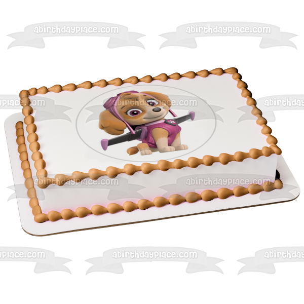 Paw Patrol Skye Pup Pack Wings Edible Cake Topper Image ABPID27513 Online now