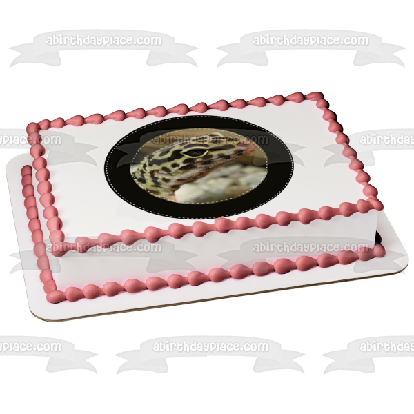 Spotted Gecko Black Circular Edge Edible Cake Topper Image ABPID27262 on Sale