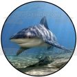 Ocean Life Shark Underwater Rocks Edible Cake Topper Image ABPID27737 Cheap