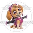 Paw Patrol Skye Pup Pack Wings Edible Cake Topper Image ABPID27513 Online now