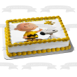 Peanuts Charlie Brown Snoopy Woodstock Edible Cake Topper Image ABPID27517 Online now