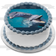 Ocean Life Dolphins Swimming and Playing Water Background Edible Cake Topper Image ABPID27539 Hot on Sale