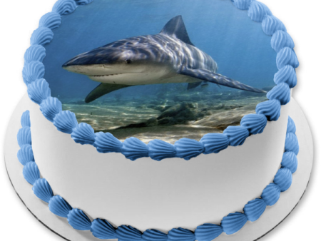 Ocean Life Shark Underwater Rocks Edible Cake Topper Image ABPID27737 Cheap