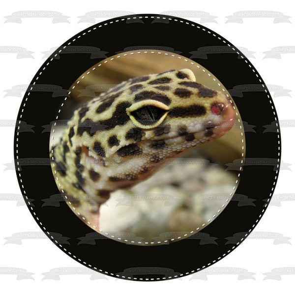 Spotted Gecko Black Circular Edge Edible Cake Topper Image ABPID27262 on Sale