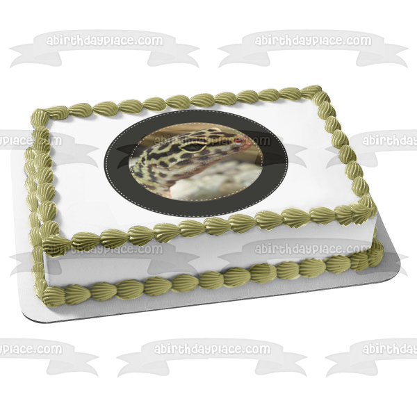 Spotted Gecko Black Circular Edge Edible Cake Topper Image ABPID27262 on Sale