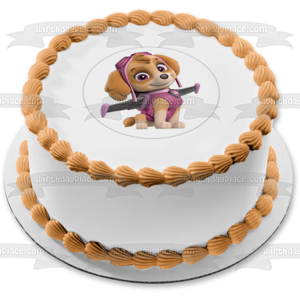 Paw Patrol Skye Pup Pack Wings Edible Cake Topper Image ABPID27513 Online now