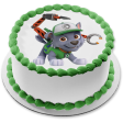 Paw Patrol Rocky Backpack Tools Edible Cake Topper Image ABPID27497 Sale