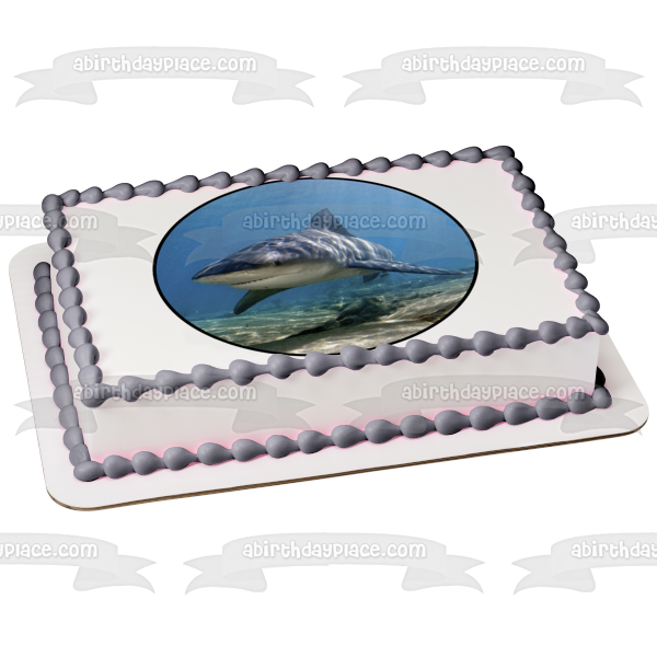 Ocean Life Shark Underwater Rocks Edible Cake Topper Image ABPID27737 Cheap