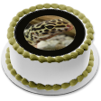 Spotted Gecko Black Circular Edge Edible Cake Topper Image ABPID27262 on Sale