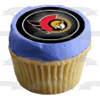 NHL National Hockey League Logos New York Islanders Boston Bruins Anaheim Ducks Chicago Blackhawks Edible Cupcake Topper Images ABPID27620 Online