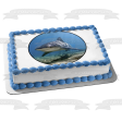 Ocean Life Shark Underwater Rocks Edible Cake Topper Image ABPID27737 Cheap